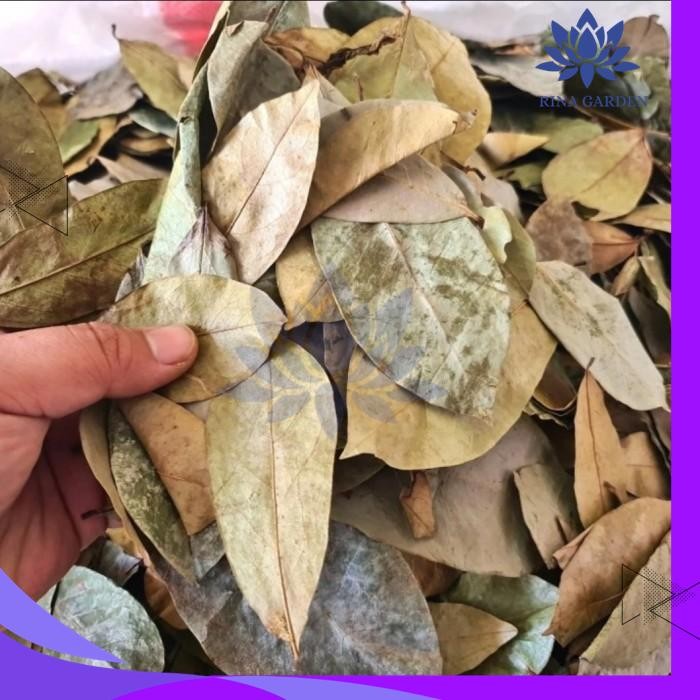 

DAUN SIRSAK KERING 100 GRAM - KUALITAS BAGUS PRODUK PILIHAN