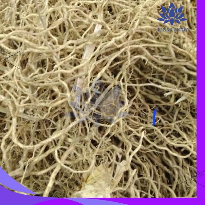 

AKAR WANGI ASLI 500GR BEST PRODUCT