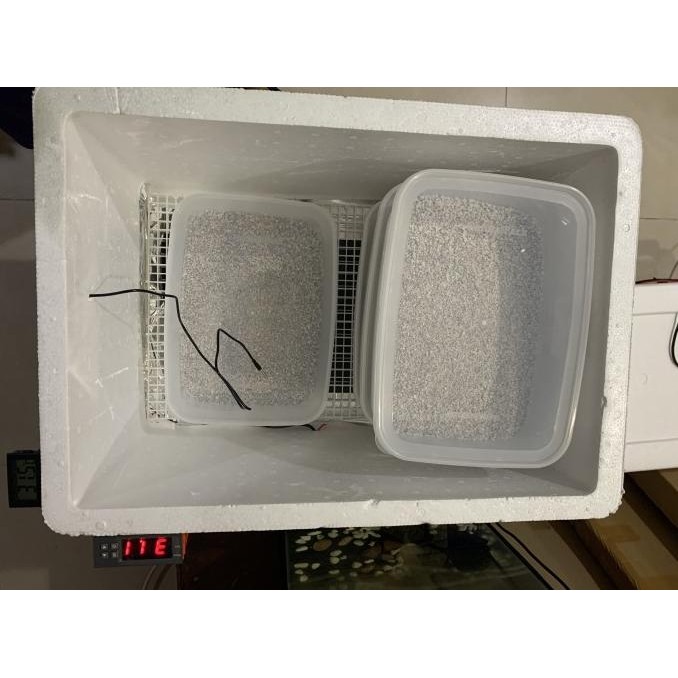 Incubator Ball Python /Incubator Reptile /Inkubator Reptil/ Inkubator