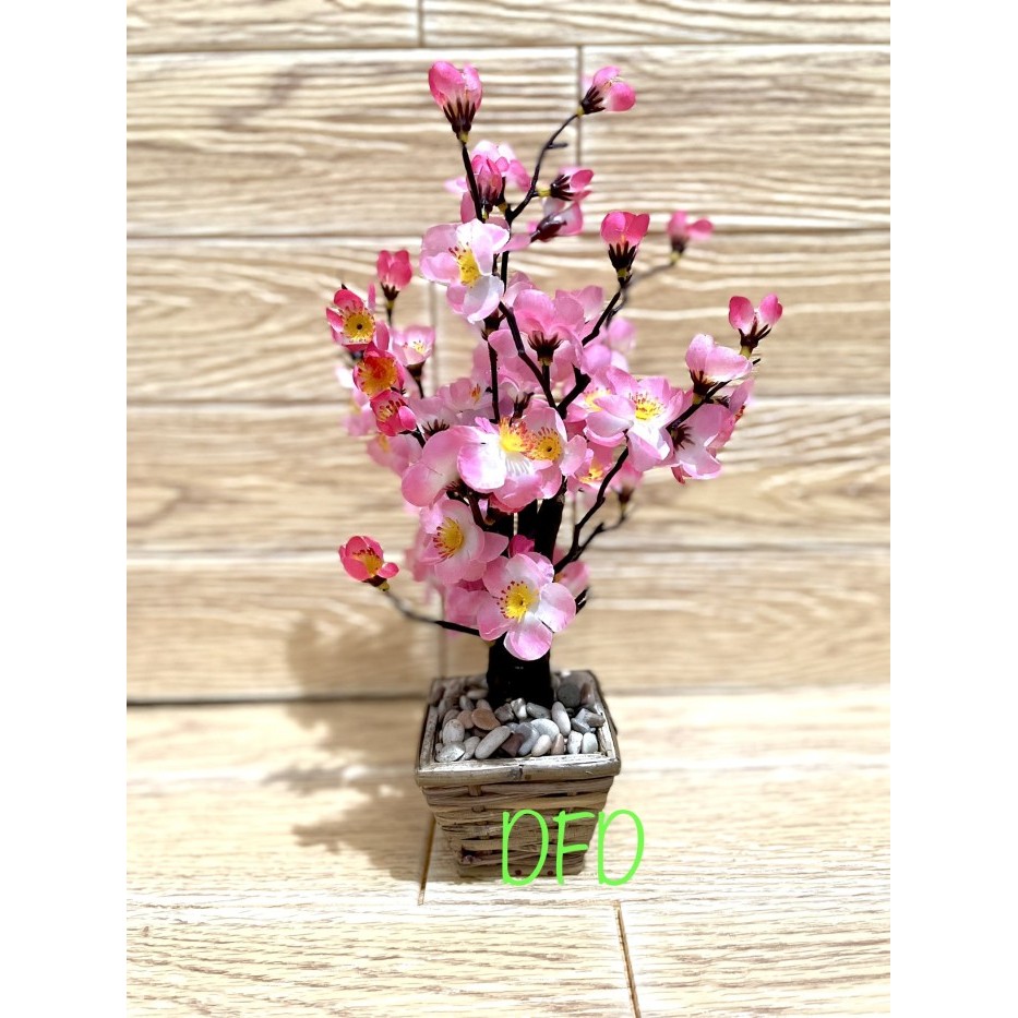 

:0:0:0] Pohon Angpao / Bunga Sakura / Meihua Pink ( Uk : 35 Cm )