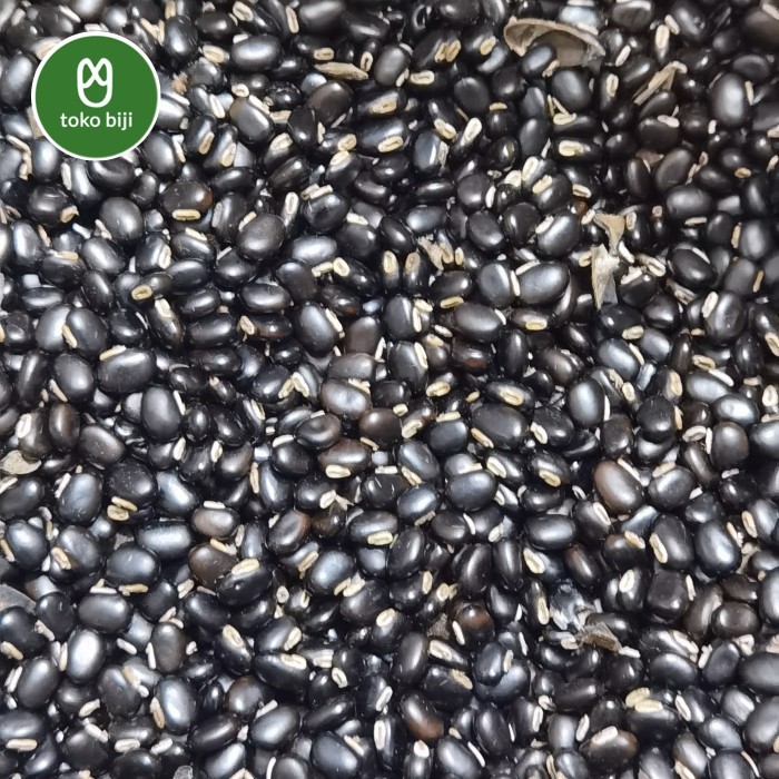 Kacang Mucuna Bracteata / Kacang Mb / Benih Mb -Gratisongkir