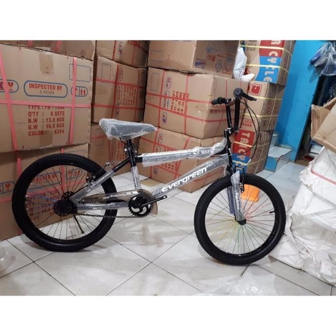 Sepeda Anak 20 BMX Evergreen Murah
