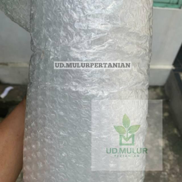 

BUBBLE WARP untuk tambahan packing barang agar lebih aman Tanaman