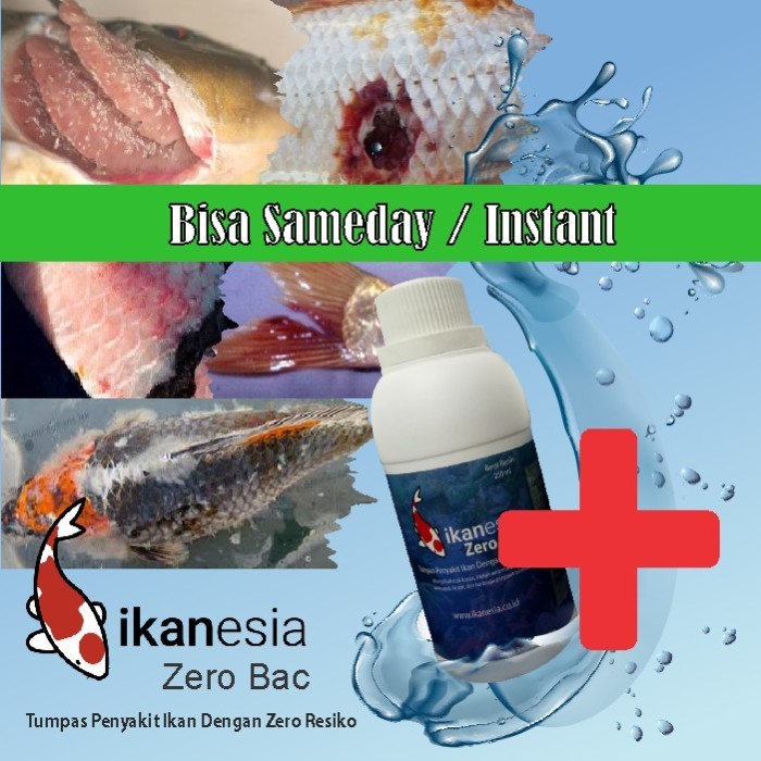 Best Seller Obat Ikan Koi Zero Bac - 250 Ml
