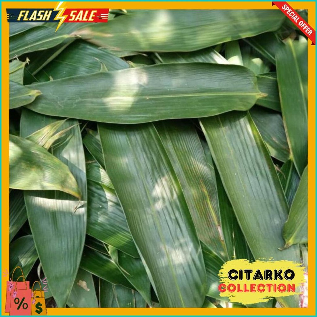 

Daun Bambu Jumbo Bakcang / Daun Bacang Murah Per 100 Lembar / Daun Bambu / Bungkus Bakcang / Lapis Bandeng Presto / Daun Herbal (Order Sebelum Ketinggalan)