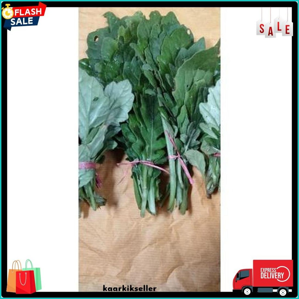 

Daun Dewa Segar 50 Gram Alami Herbal (6.6)