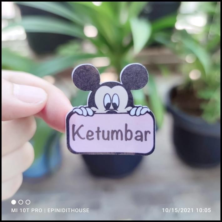 

HOT DEAL STIKER TOPLES MICKEY MOUSE LABEL NAMA BUMBU DAPUR TEMPEL ANTI AIR MURA !!!!!!