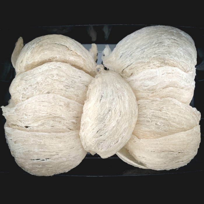 

Terlaris Sarang Burung Walet Mangkok - Gho Bird Nest