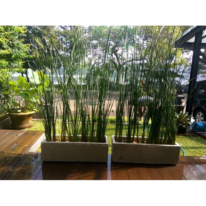 Pot minimalis 1 meter dan tanaman pagar