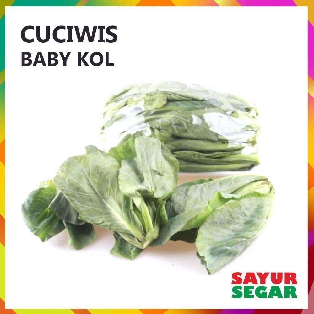 

Cuciwis / Baby Kol Sayur [500G]