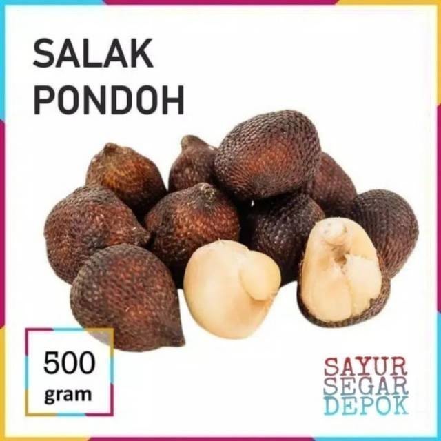 

SALAK PONDOH BUAH / SALAK FRUIT