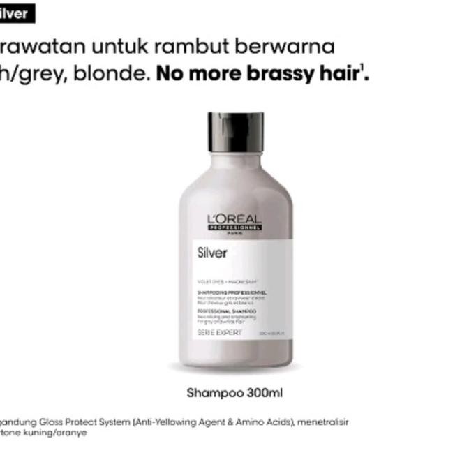 TERLARIS - Shampo Loreal Serie Expert L'oreal Magnesium Silver 300ml