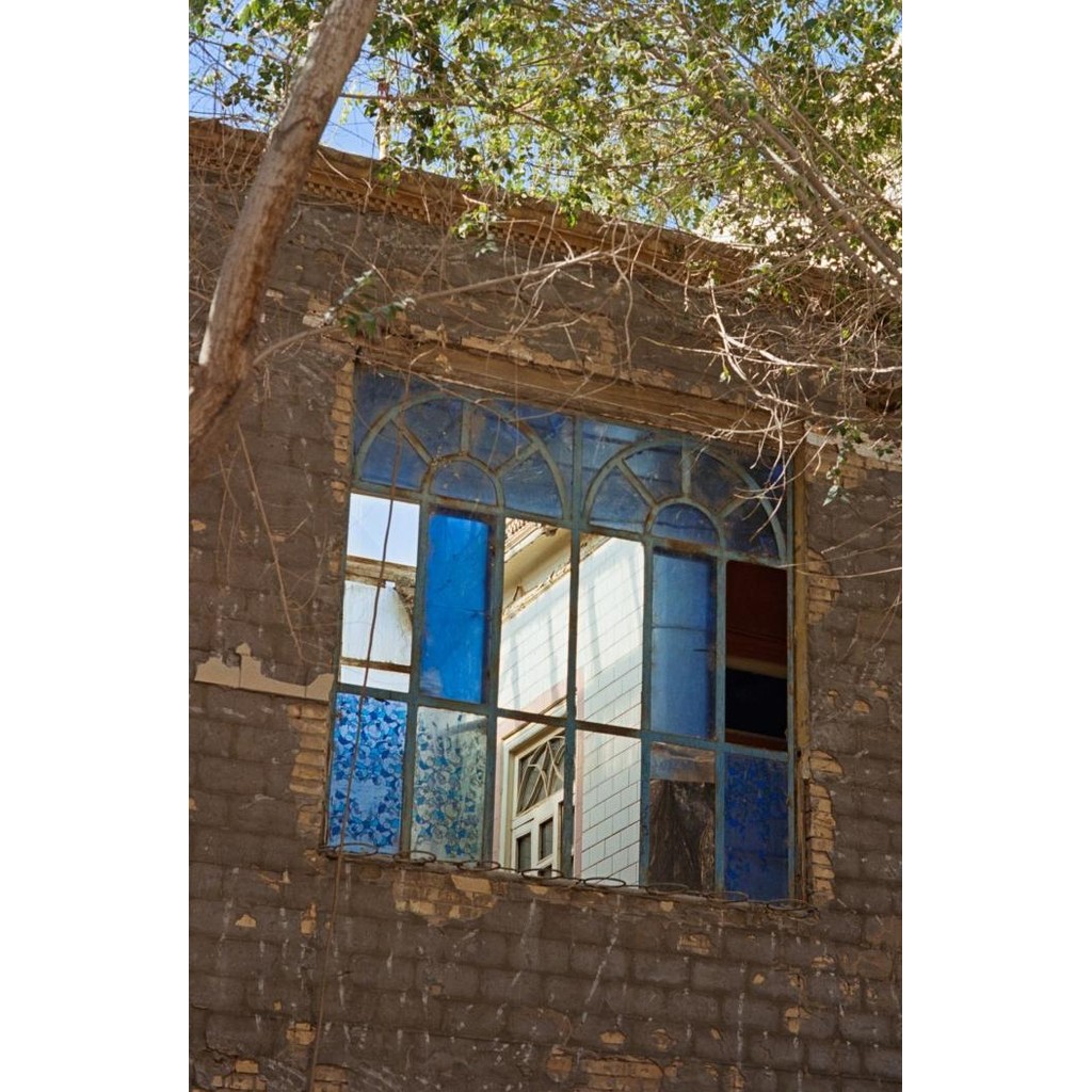 SINAMO FILM 250D - FRESH COLOR ROLL FILM 35MM ISO 250 27 EXPOSURE KODAK VISION 250D