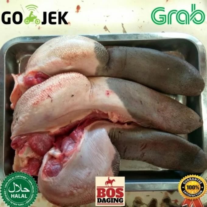 

Lidah Sapi Lokal / Beef Tongue Dijamin Fresh Segar Makasihlohya
