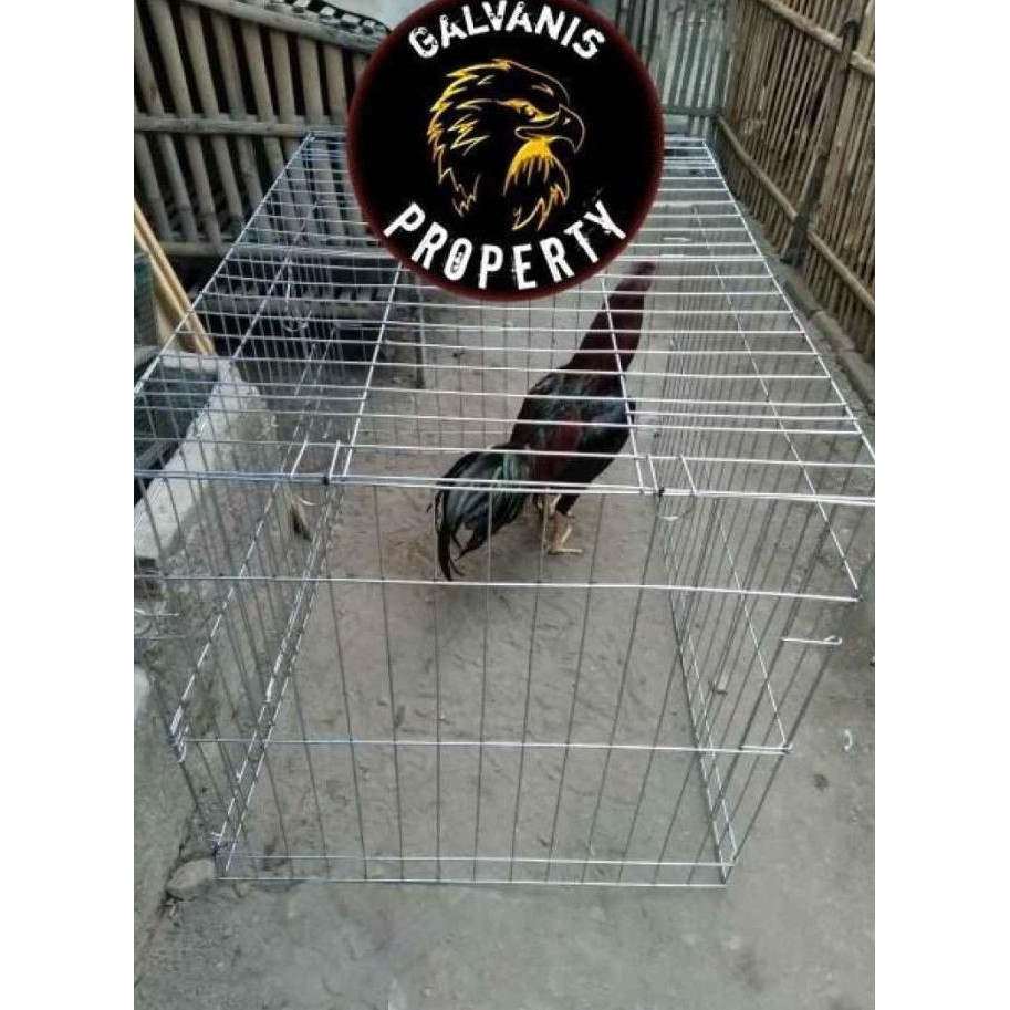 kandang besi galvanis kotak kurung kurungan ayam laga jago bangkok  LEK