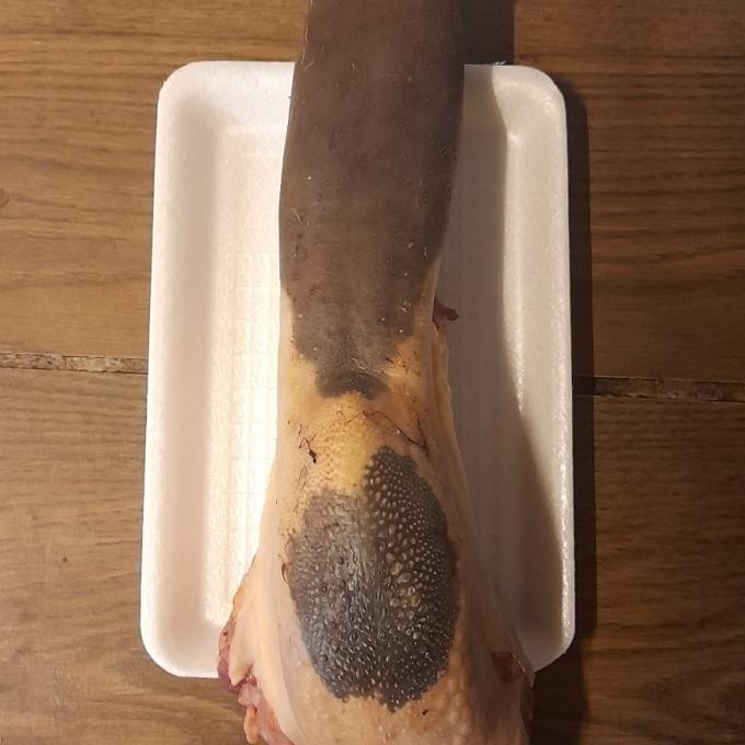 

Lidah Sapi Lokal / Beef Ox Tongue Emangnyake
