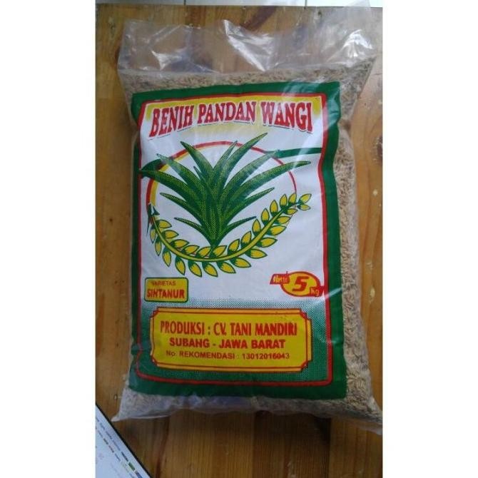 

Benih Padi Pandan Wangi Varietas Sintanur 5 kg COD