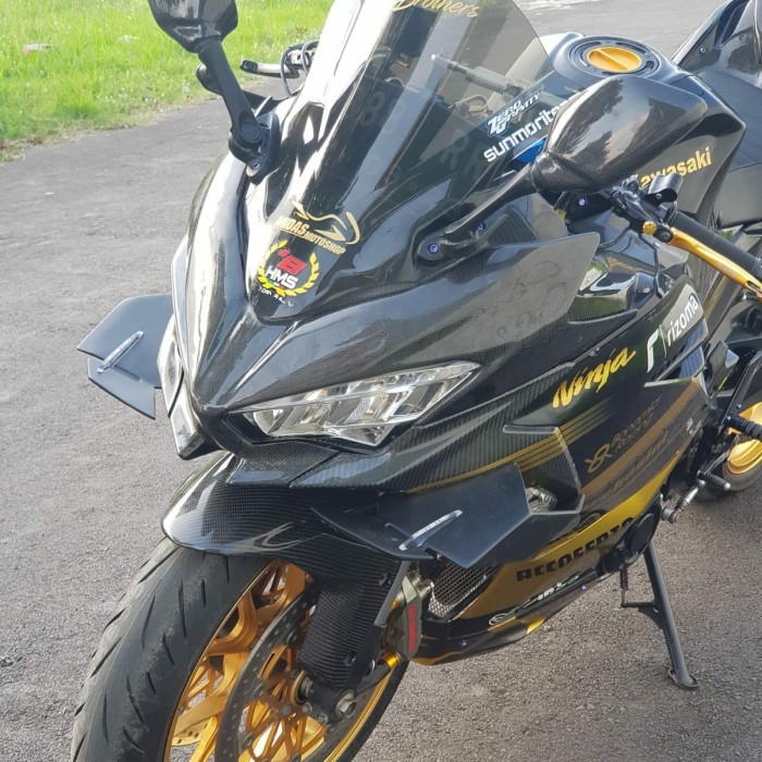 Wingside Winglet Downforce New Ninja 250 Fi - All New Ninja