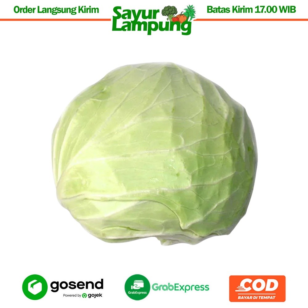 

Kol/Kubis 1 Kg - Sayur Lampung