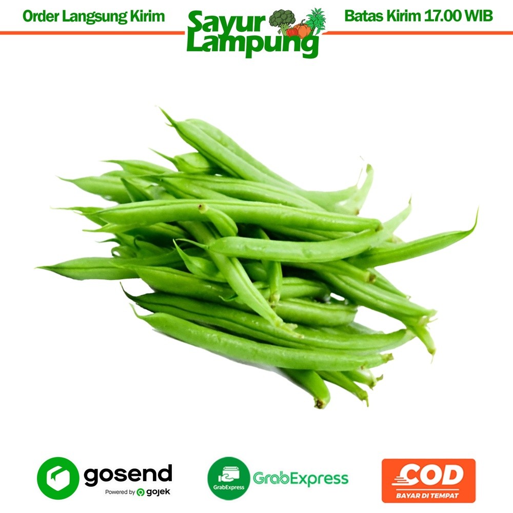 

Buncis 1 Kg - Sayur Lampung