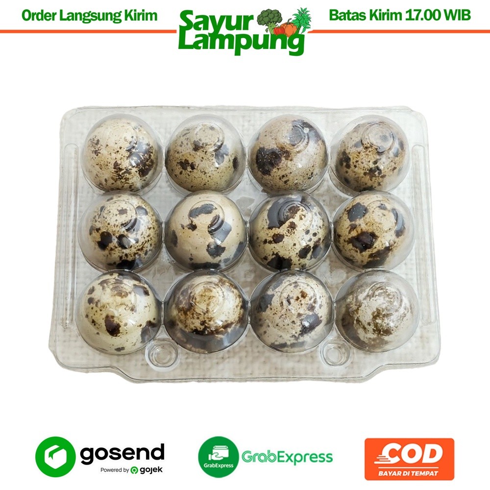 

Telur Puyuh Mentah 250 Gr - Sayur Lampung