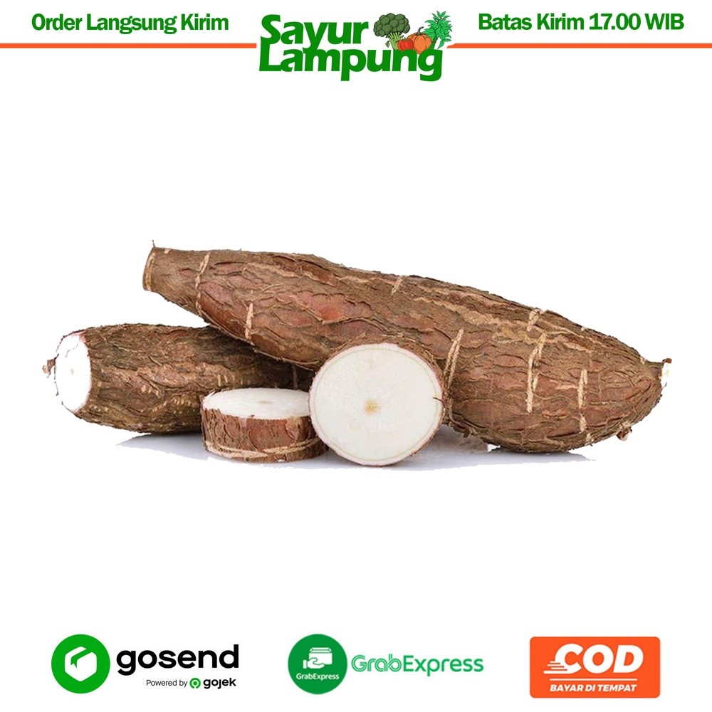 

Singkong/Ubi Kayu 1 Kg - Sayur Lampung