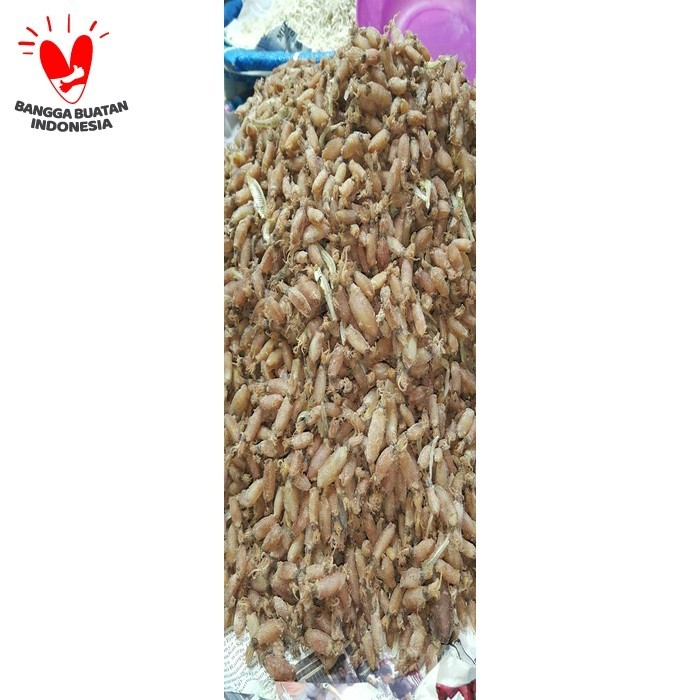 

ikan asin cumi