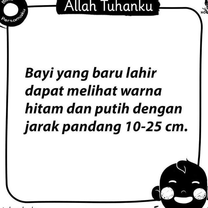 High Contrast Baby Book Allah Tuhanku And New Born Series Ena