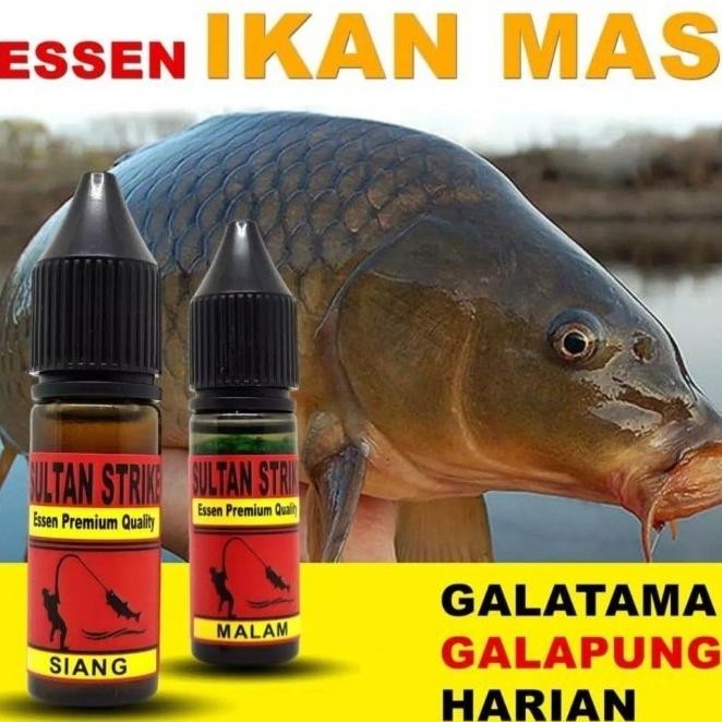 Strike Sultan Essen Premium biang Mas jagoan galatama/pung atau harian