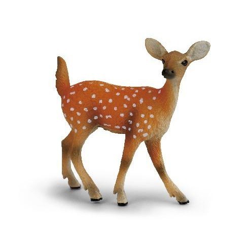 

New Canna Female Sika Deer X2076