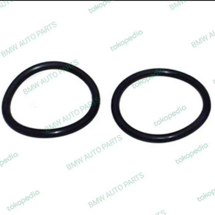 SEAL ORING SELENOID VANOS BMW E46 N42, E90 320I N46 HARGA 2PCS