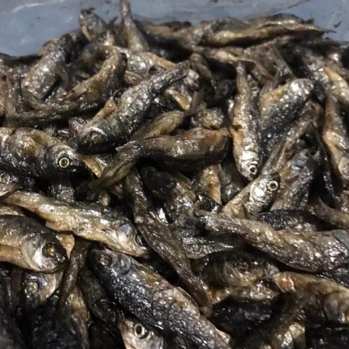 

Bisa SPK Ikan bilih padang/ bilih singkarak 1kg
