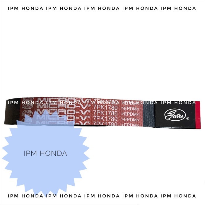 Timing Belt Fanbelt Accord Cm5 38920 Raa 7Pk 1780 Fan Belt Accord 2003-2007