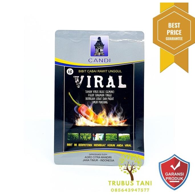 Benih Cabe Rawit Merah VIRAL 10gr - BIBIT VIRAL