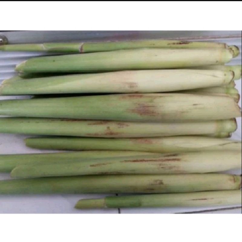 

turubuk terubuk sayur 500gram