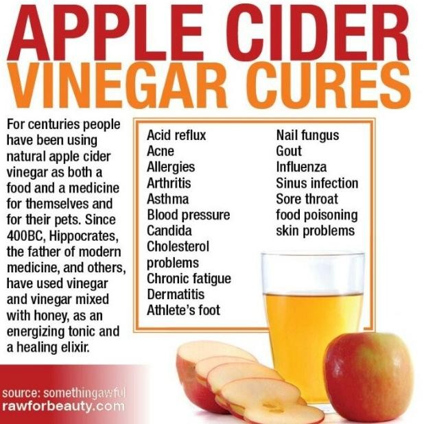 

Bragg, Organic Apple Cider Vinegar with The 'Mother', Raw-Unfiltered ( [terbaik]