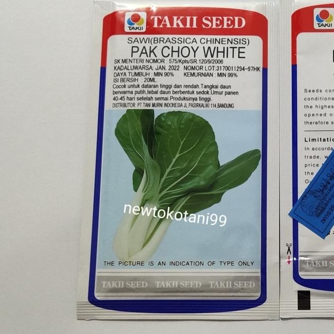 benih PAK CHOY WHITE 20 ML pakcoy putih dari takii sawi sendok pakchoy