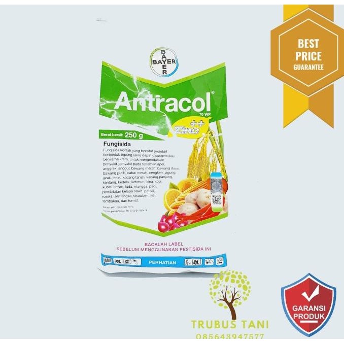Fungisida Antracol 250gr
