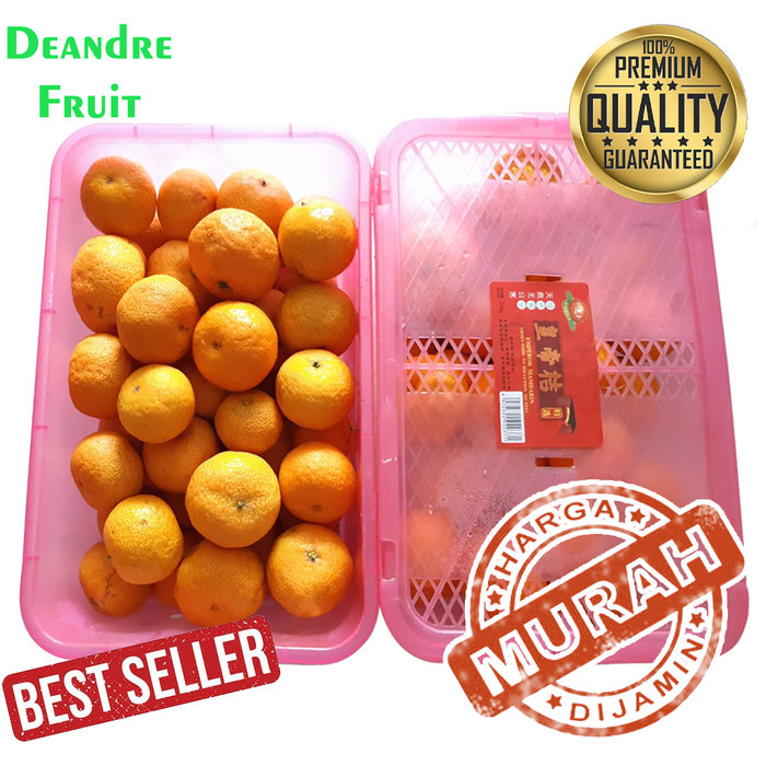 

CNY MURAH 1 Box Buah Gift Jeruk Santang Daun Birma Parcel Sinchia Imlek Limited