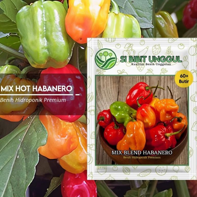 Kk - (60 Butir) Benih Cabai Hot Habanero Mix Original / Benih cabe habanero / Benih Hidroponik