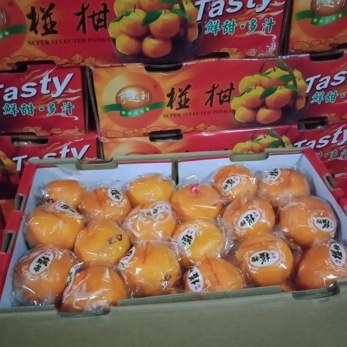 

TERBARU JERUK PONKAM MANDARIN ORANGE HDL TASTY 1 DUS PREMIUM GIFTPACK IMLEK !!!!!