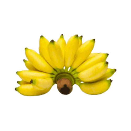 

Pisang Susu 500-600g oFresh Batam