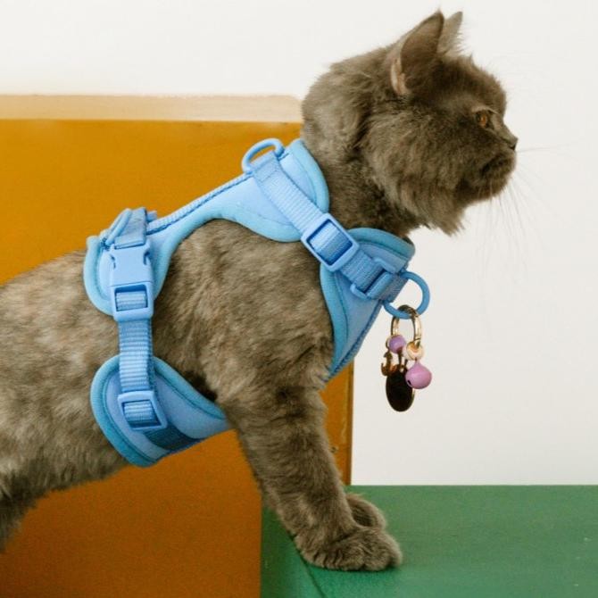 

HARNESS ANJING KUCING - PREMIUM PET HARNESS - DOG CAT HARNESS VEST ORIGINAL