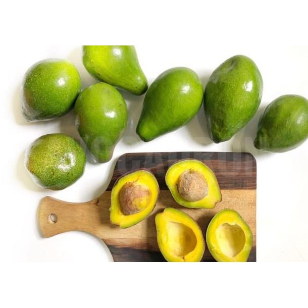 

Paet 2 G Alpuat Mentega Reguler Avocadron