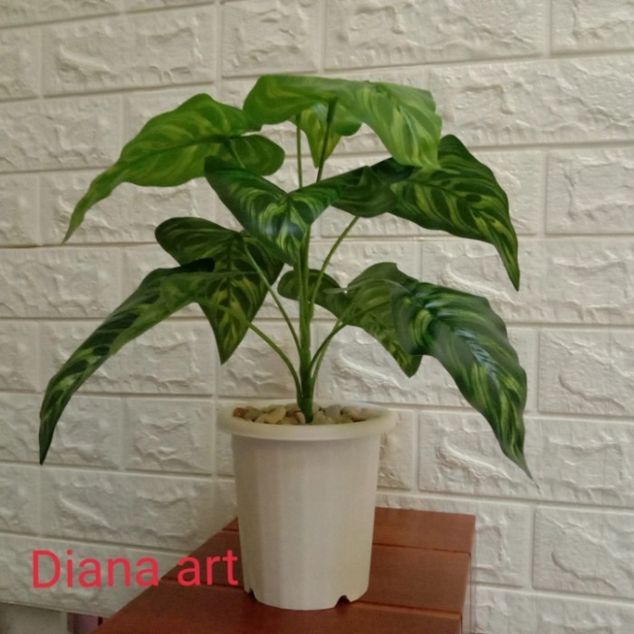 Daun Keladi#Keladi Kuping Gajah#Bunga Plastik#Tanaman Palsu#Artificial Ready
