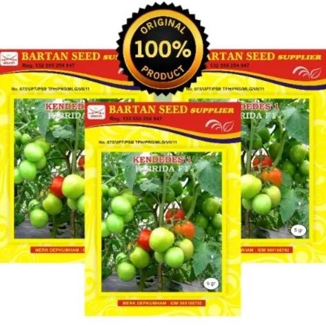 Kendedes Dt 5 Gr Benih Tomat Kendedes - Ken Dedes Tomat - 5Gram Produk