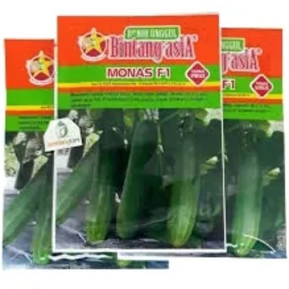 Timun Monas 900 Butir Timun monas 900 butir, Benih Monas F1, Buah Mentimun, Benih Mentimun Lalap Pro