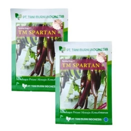 Biji Benih Terong Ungu Tm Spartan Ori - Repack 100 Bibit Terong Ungu -