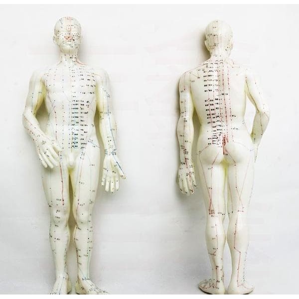 Patung Akupuntur Model PRIA / Boneka Titik Titik Akupuntur