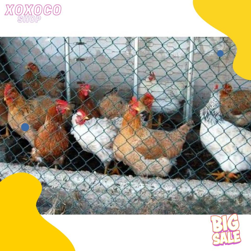 Jaring Ayam Tebal Lebar 1 Meter / Jaring Pagar Ayam / Jaring Kandang Ayam
